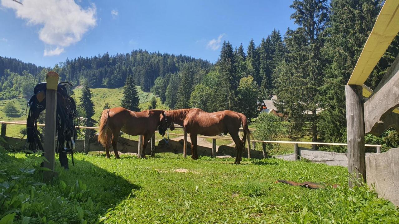 Отель Koca Goska Ravan Kamna Gorica Экстерьер фото